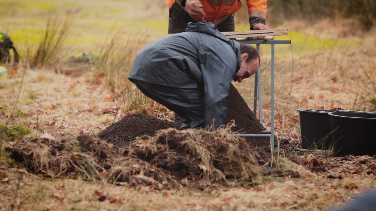 Historiana Forts&auml;ttning f&ouml;ljer....
