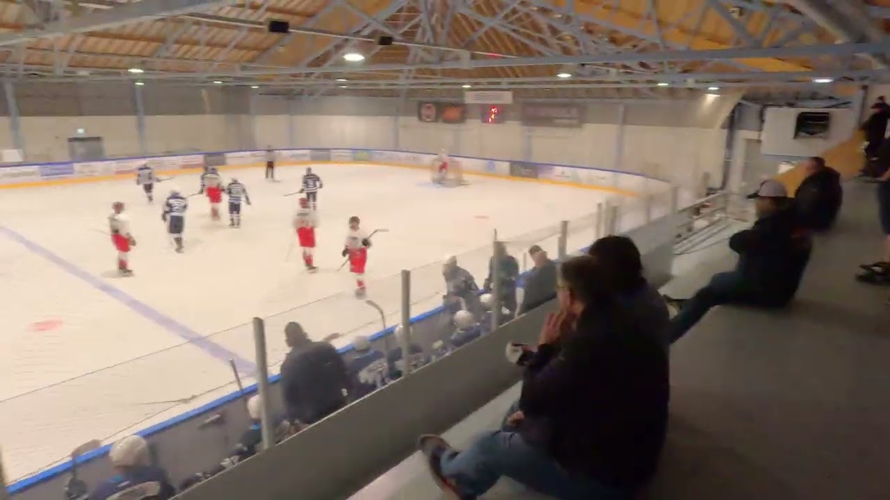 Lions Cup 2025