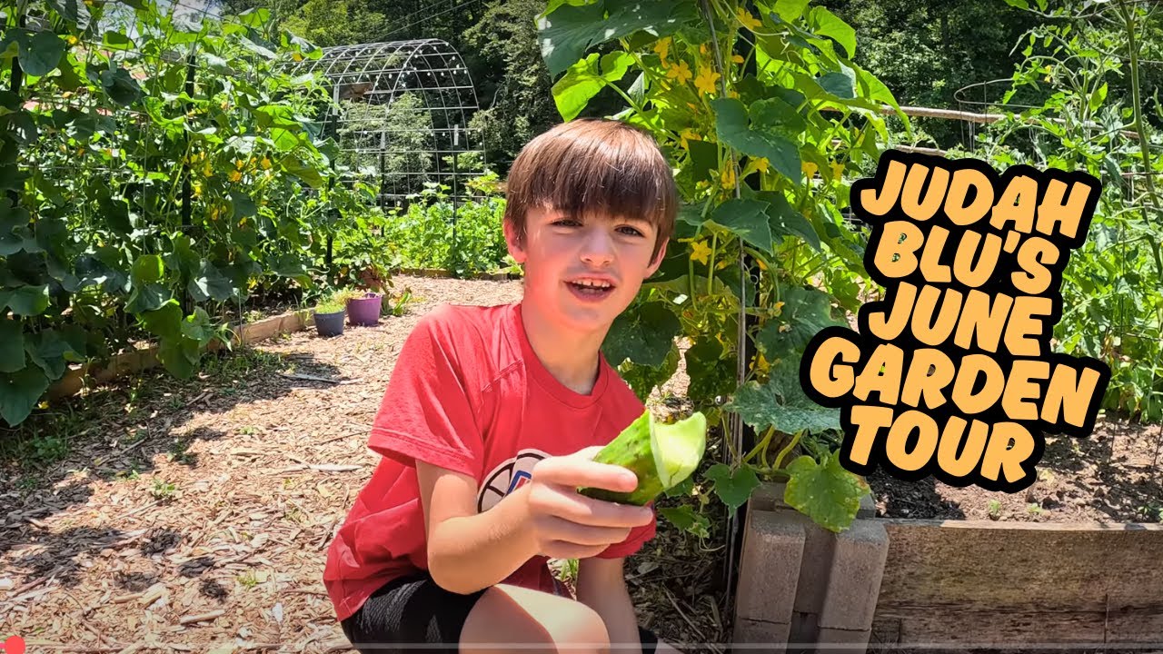 Don't Make This Mistake with Your Cucumbers! PLUS June Garden Tour!