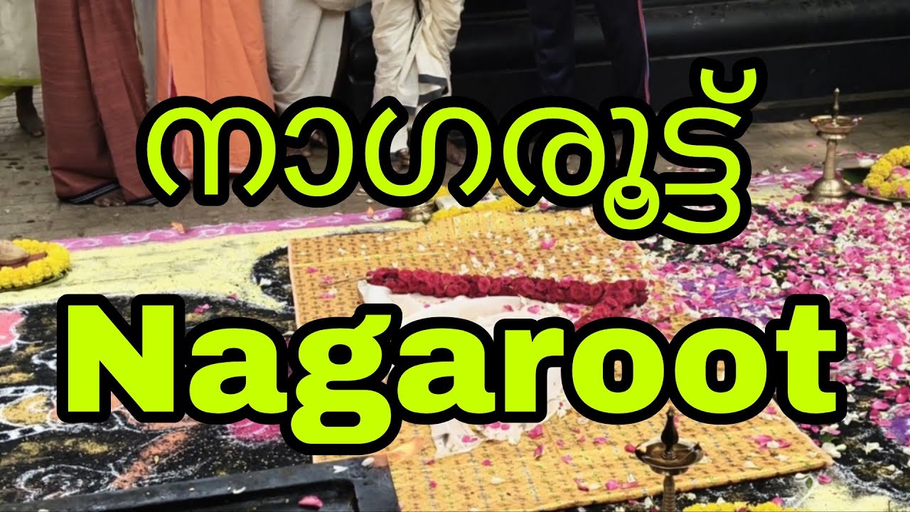 നാഗരൂട്ട് Nagaroot 
