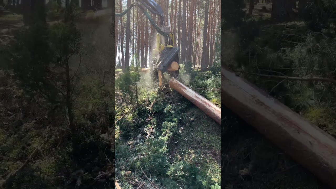 Harvester johndeere 1270g #machine #madera #woodworking #forest #johndeere #harvester #viral #tree