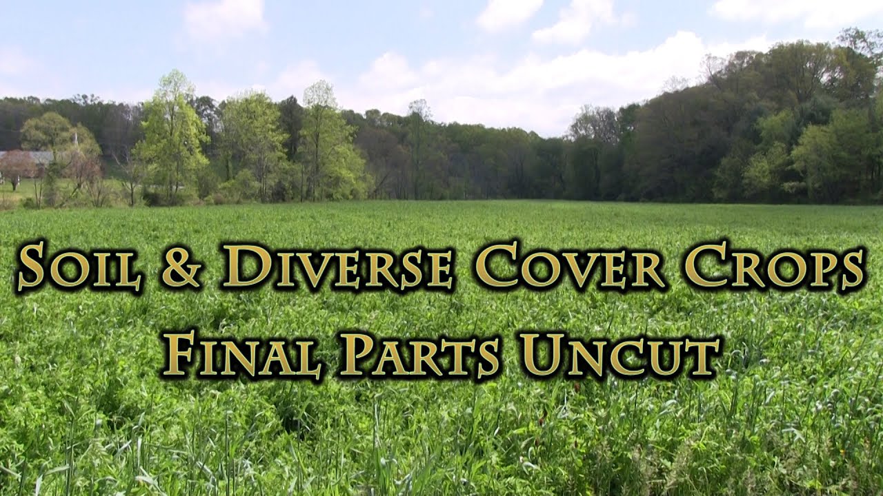 Soil & Diverse Cover Crops Final Parts UNCUT