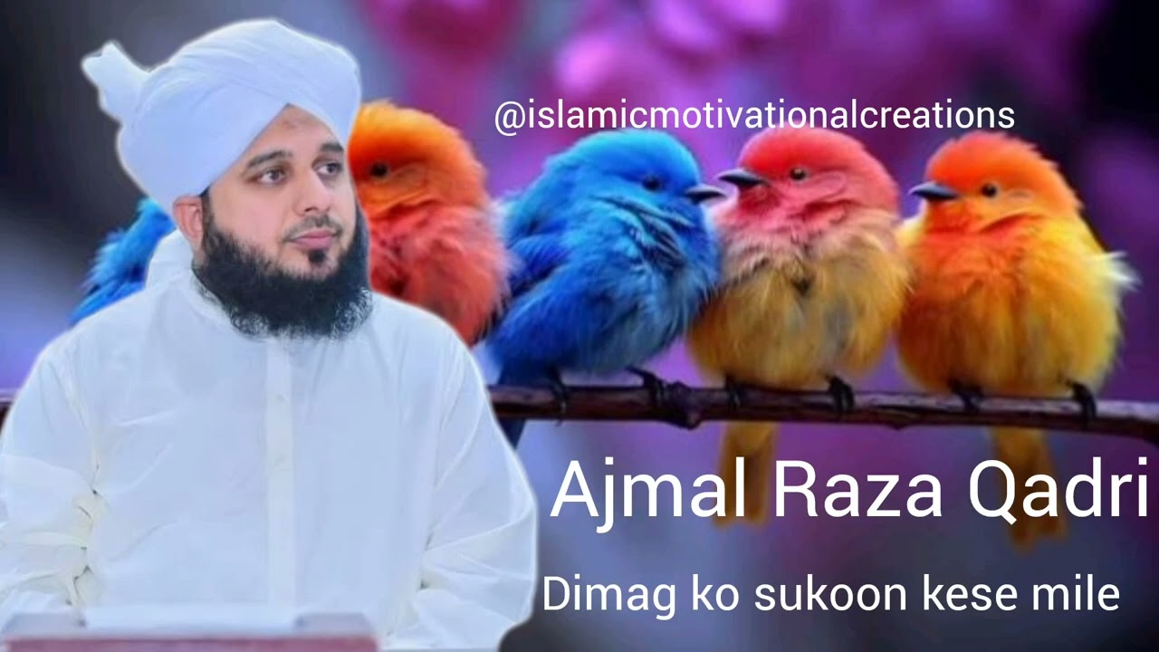 DIMAG🧠KO SUKOON KAISE MILE BY RAZA AJMAL QADRI SAHABll #viral #shortsviral #viralvideos #shorts #fyp