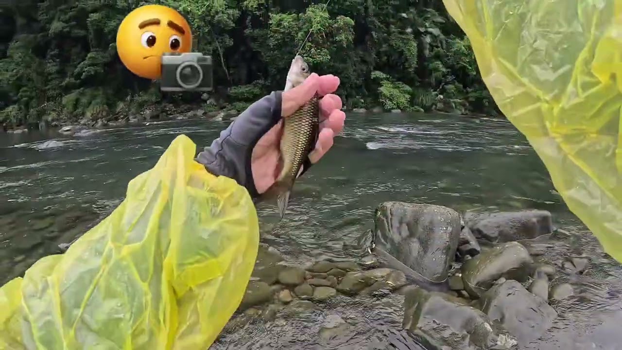 2025 10 29 快樂釣魚🎣趣  下雨天的坪林 沒想到魚貨滿滿😁