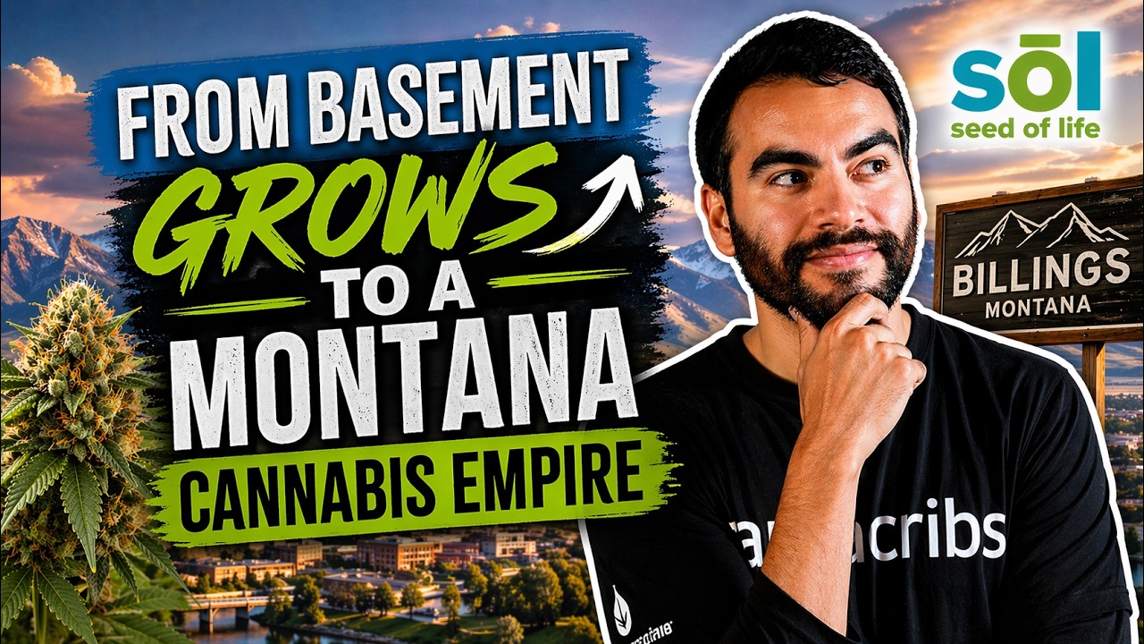 How Seed of Life Built a Cannabis Empire in Montana