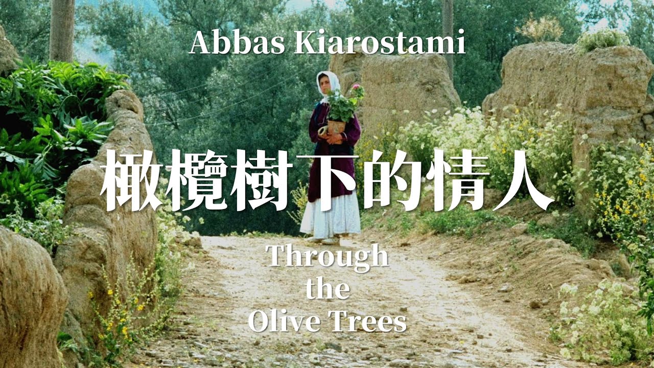 橄欖樹下的情人 | 穿過橄欖樹林的漫長凝視 | زير درختان زيتون | Through The Olive Trees | Abbas Kiarostami | 阿巴斯 | 伊朗電影