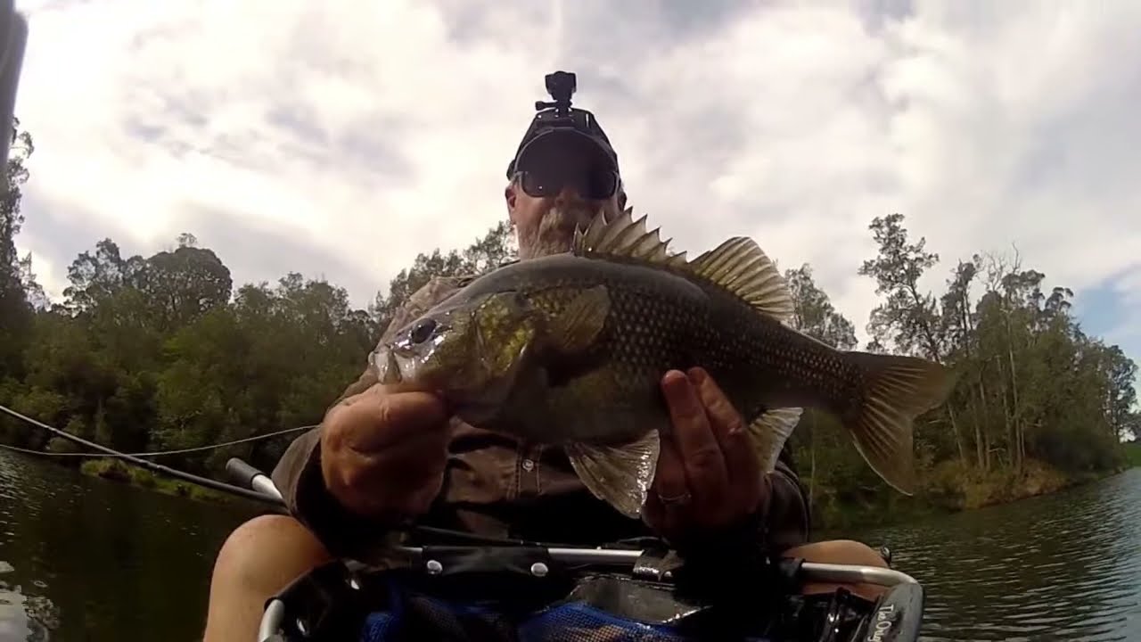 THE FISHING HUB  -  ON THE ROAD AGAIN - 21-10-21