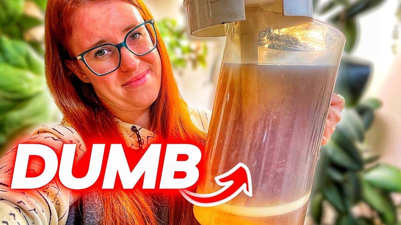 Compost Tea... Biggest LIE Ever Told To Gardeners