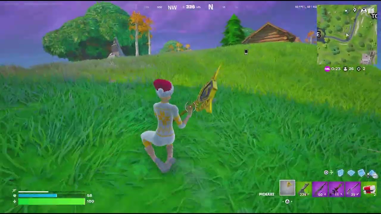 Fortnite og