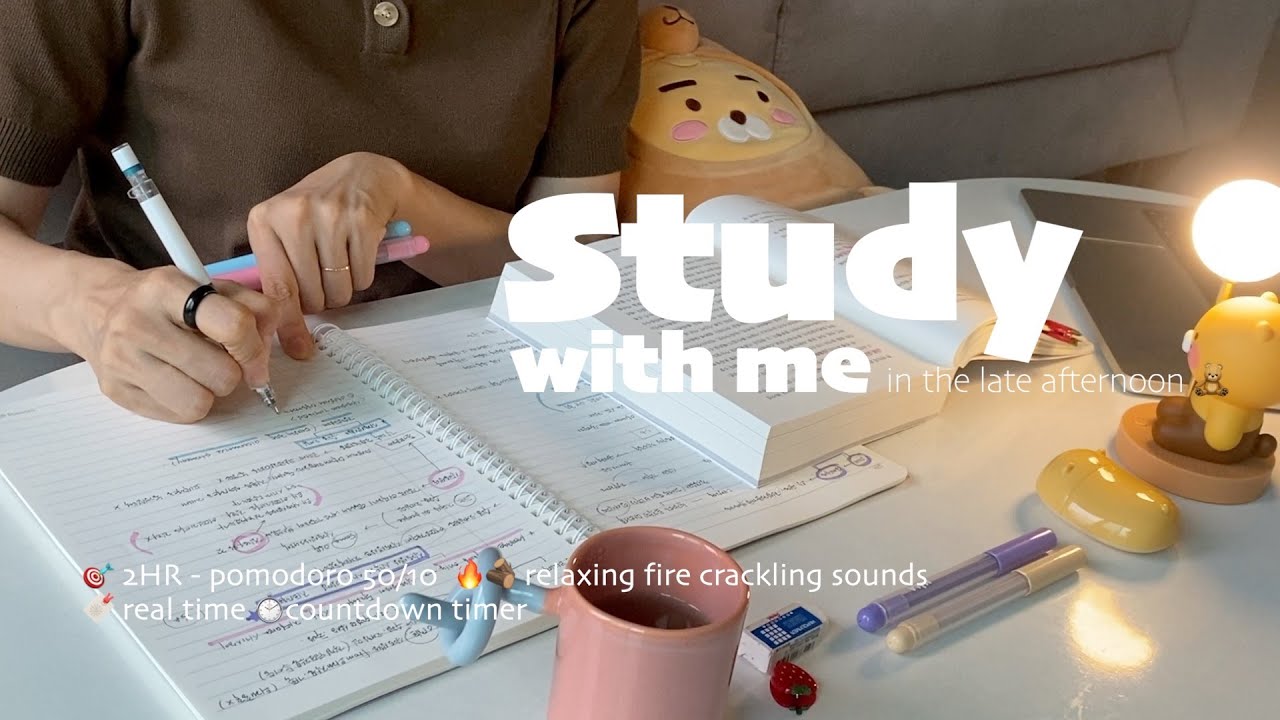 🧸2HR STUDY WITH MEㅣpomodoro 50/10ㅣ🔥relaxing fire crackling soundsㅣwith alarm + timer