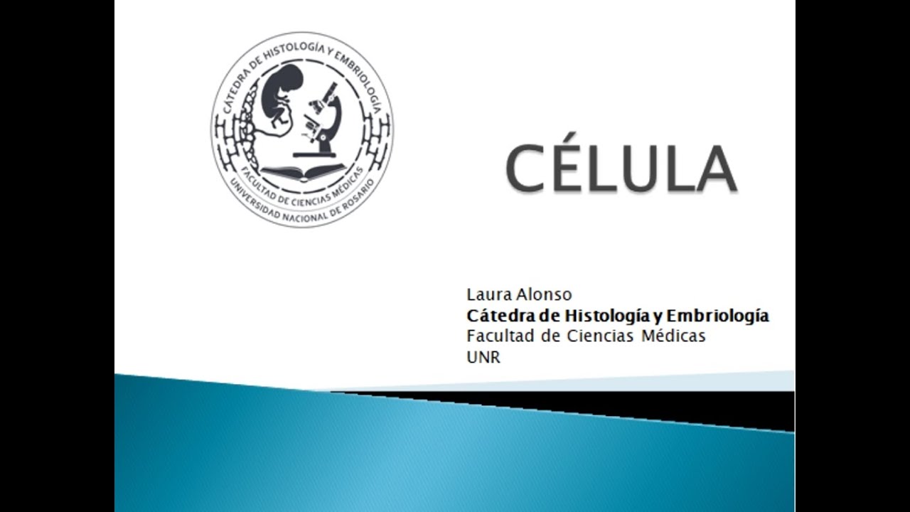 Célula (parte 2)