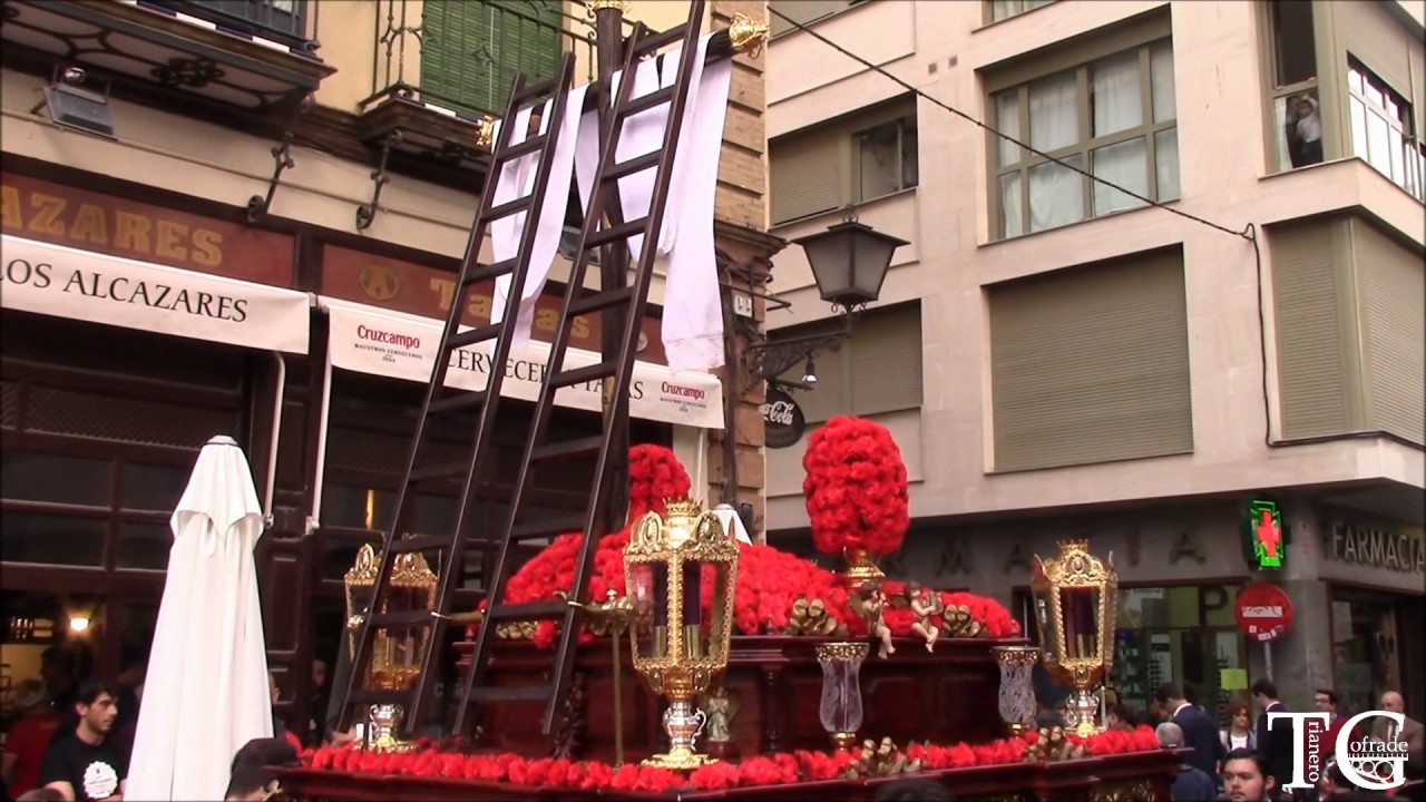 Cruz de Mayo de Montesión en las Setas de la Encarnación 2017