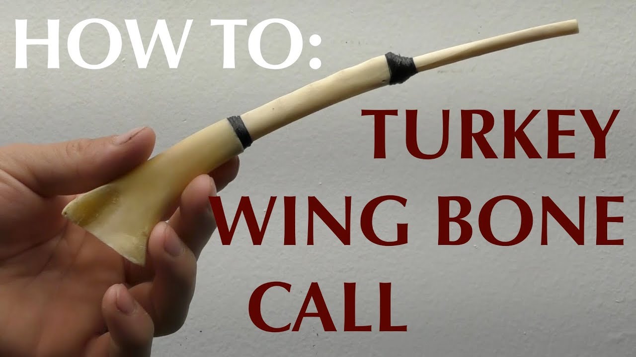 How To Make a Wing Bone Turkey Call