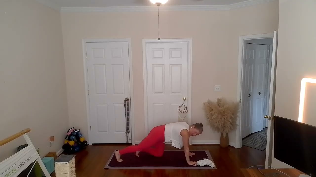 13 min core in plank +stretch