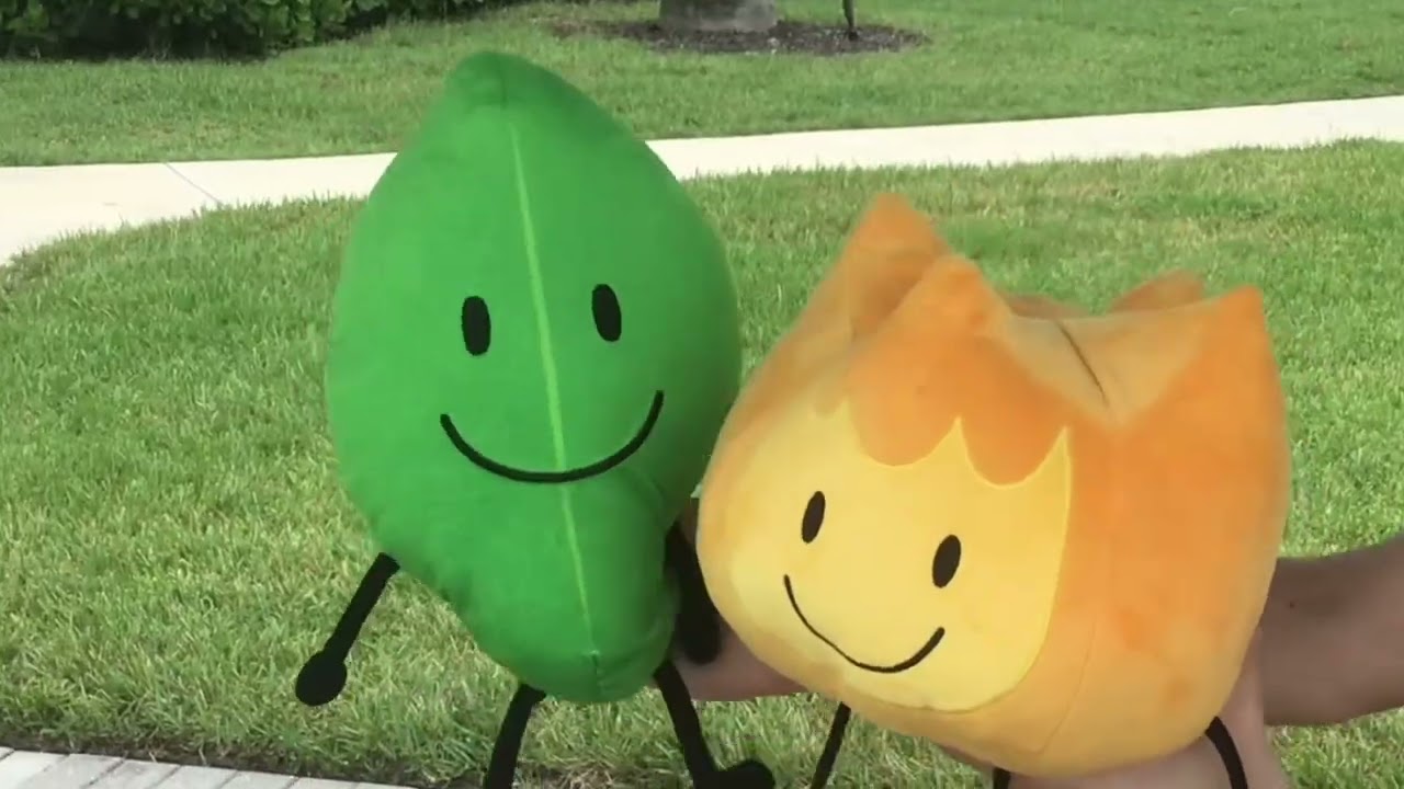 Shawn Mendes & Camila Cabello - Señorita (Cover by Firey & Leafy from #BFDI / Plushie Music Video)