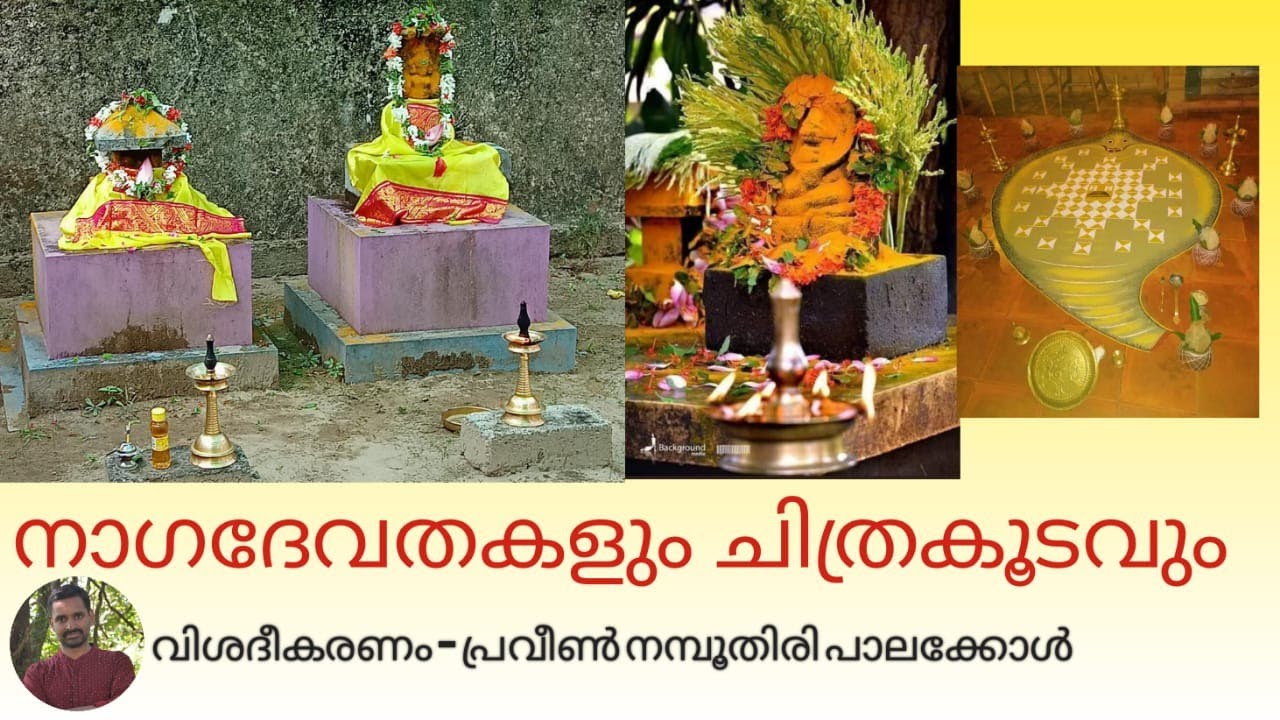 Naga devathas and Chithrakoodam(നാഗദേവതകളും ചിത്രകൂടവും ) ph 9526040391