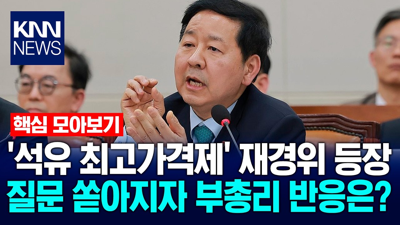 [🔴핵심만] '석유 최고가격제' 재경위 등장…질문 쏟아지자 구윤철 부총리 반응은? / KNN