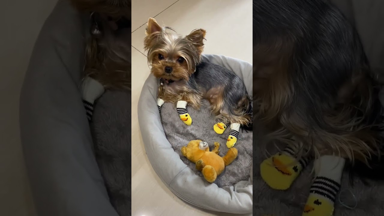 #minimia