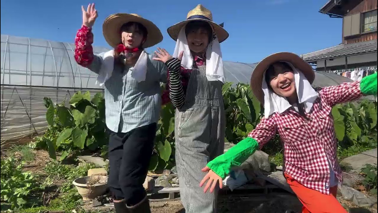 P. A .M.3 /多数