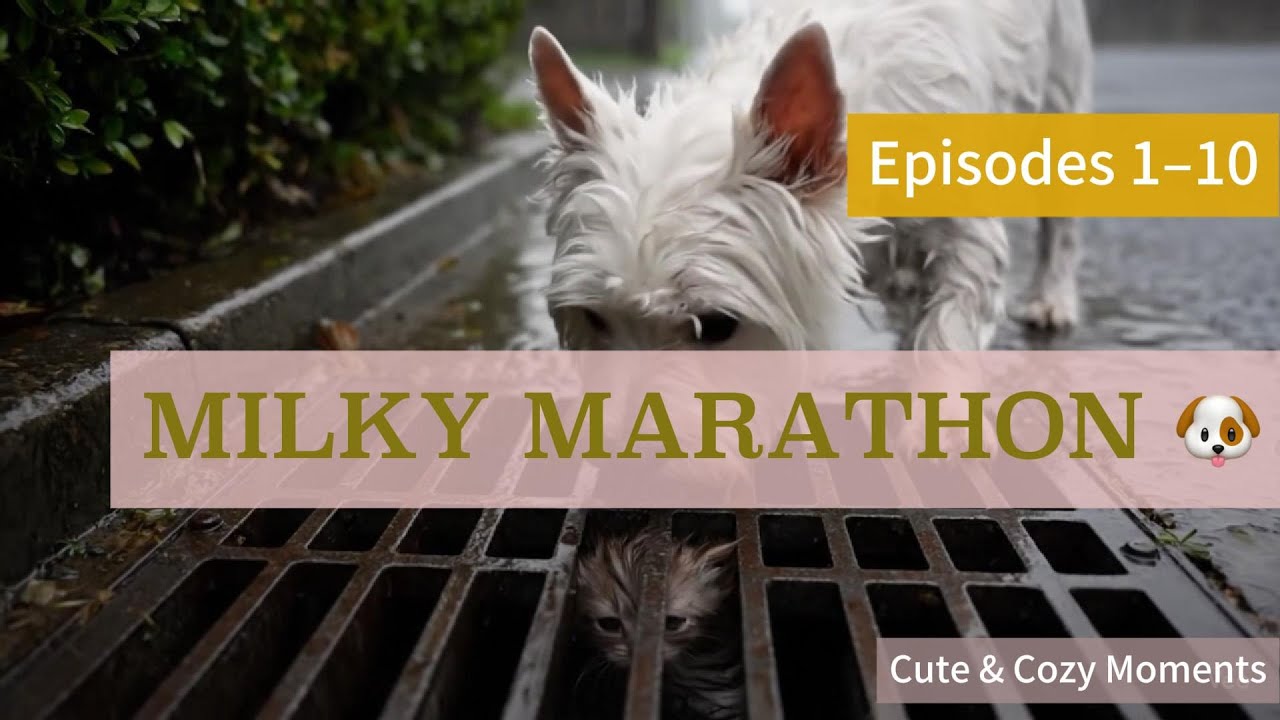 Episodes 1 to 10: The Ultimate Milky Series Marathon