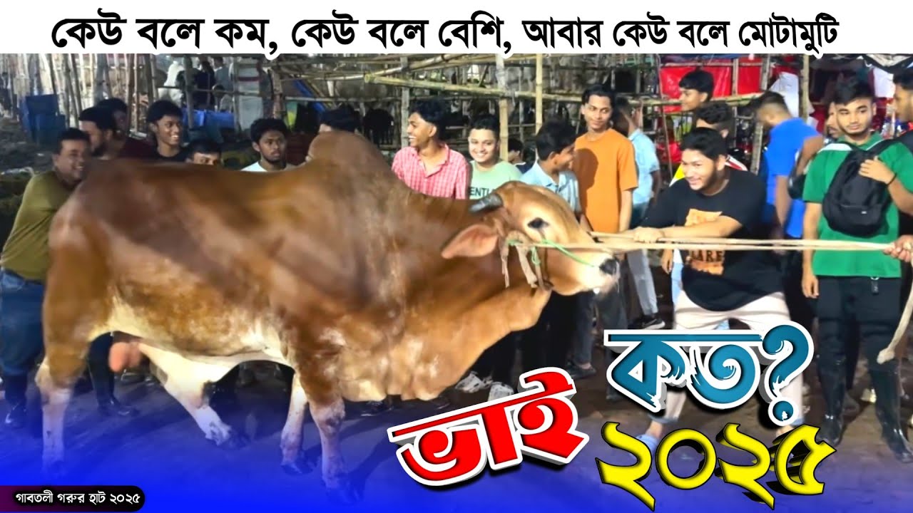 জমে গেছে! গাবতলী হাট থেকে ক্রেতারা কিনছে কম দামে গরু! qurbani cow price in Bangladesh