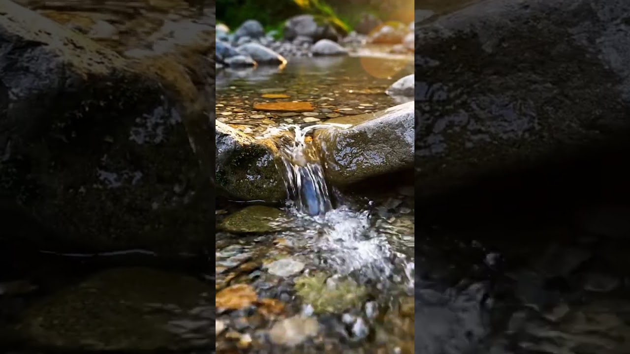 Peaceful Stream Flowing Over Rocks 💧 Nature Calm 