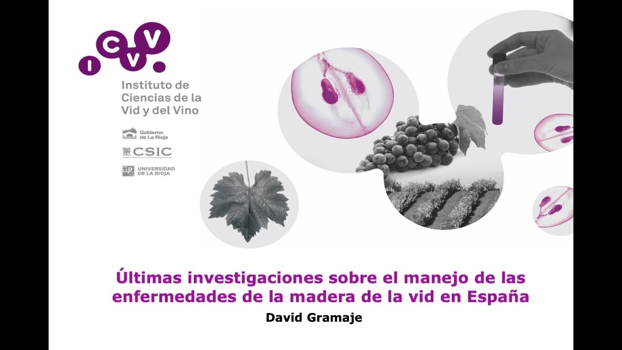 Investigación sobre las enfermedades de la madera de la vid en España | David Gramaje | Enero 2021