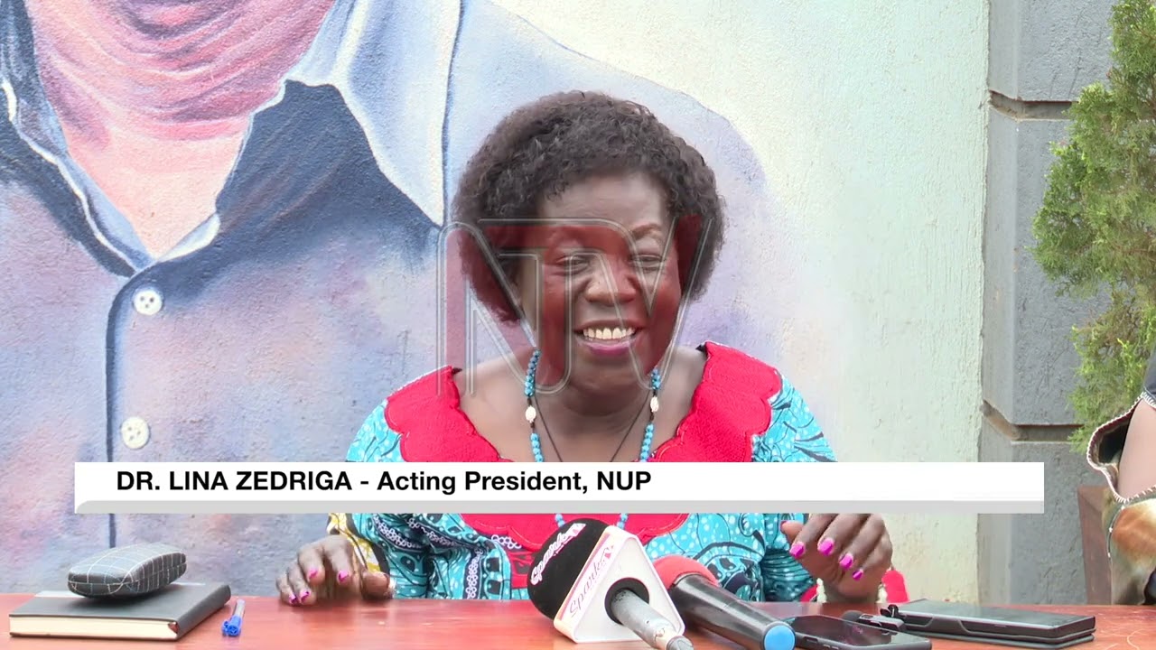 NUP leaders questioned why they could not work with Museveni