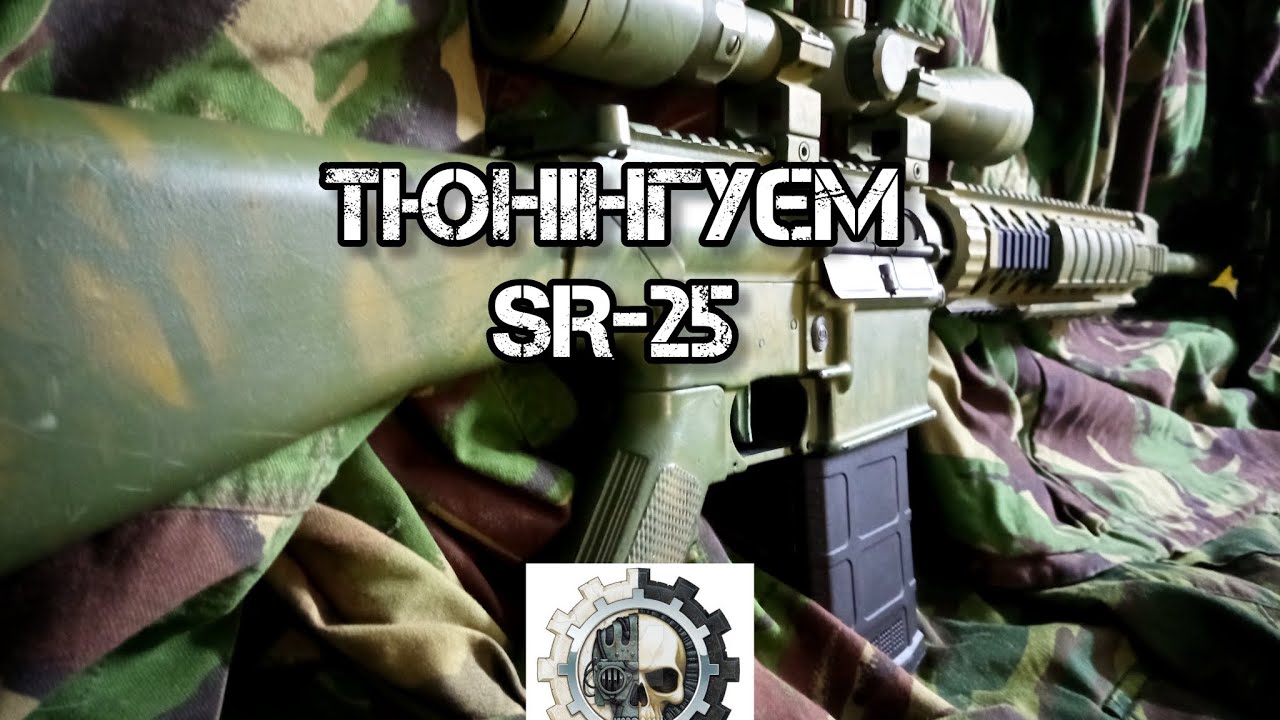 SR-25. Тюнінг з нуля.