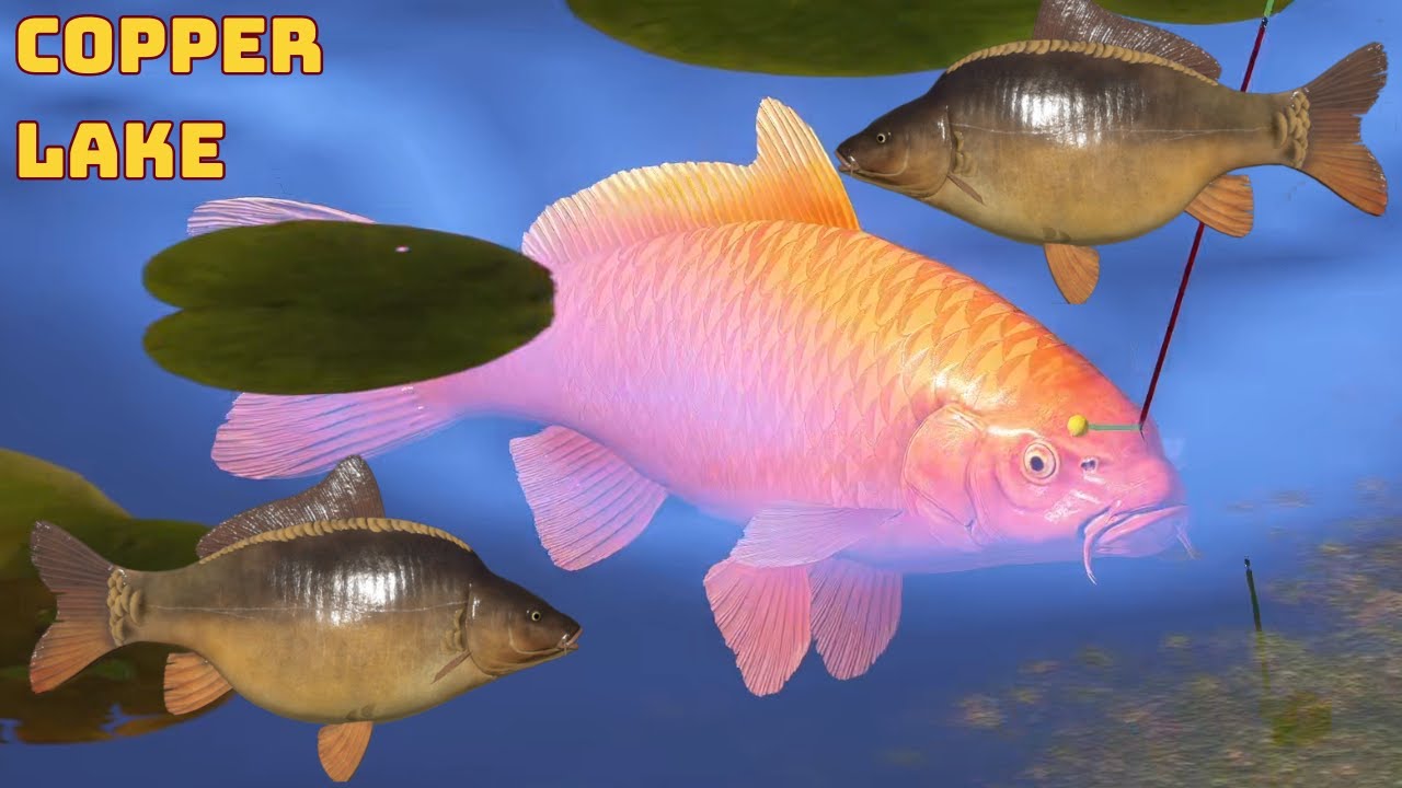 Orenji Ogon & C2 slow spot no PVA Copper Lake (104) | Russian Fishing 4 RF4