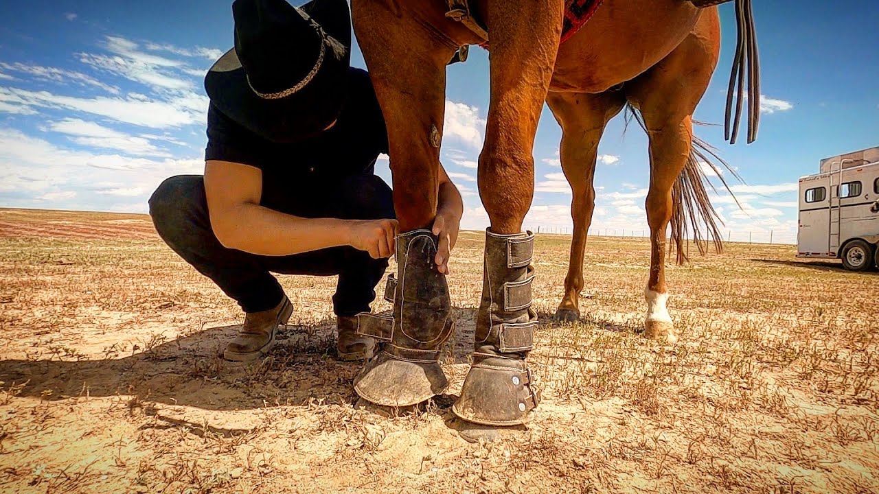 PREPARACIÓN DE UN CHARRO PARA CHARREAR
