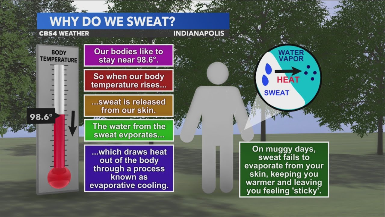 How to stay safe during extreme summer heat