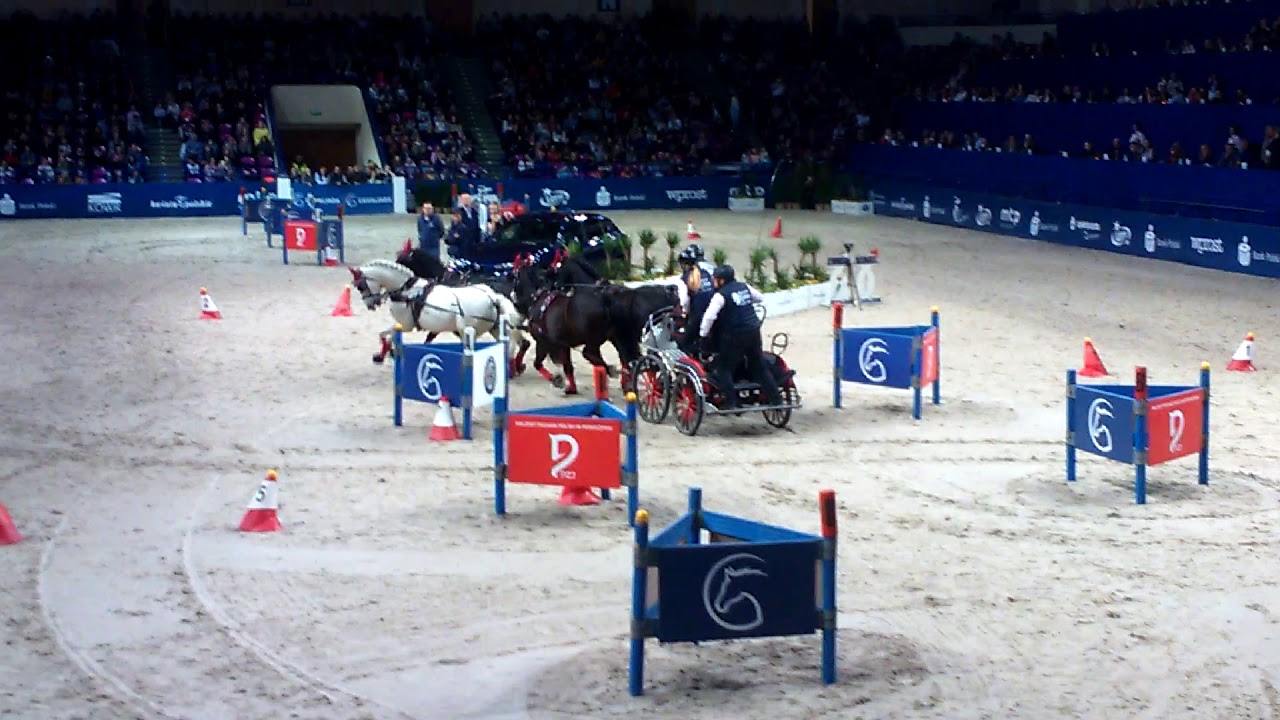 Cavaliada Warszawa 2019 zaprzęgi  Łukasz Hałupka