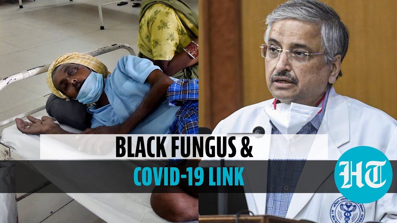 How is black fungus linked to Covid? AIIMS director Dr. Randeep Guleria explains