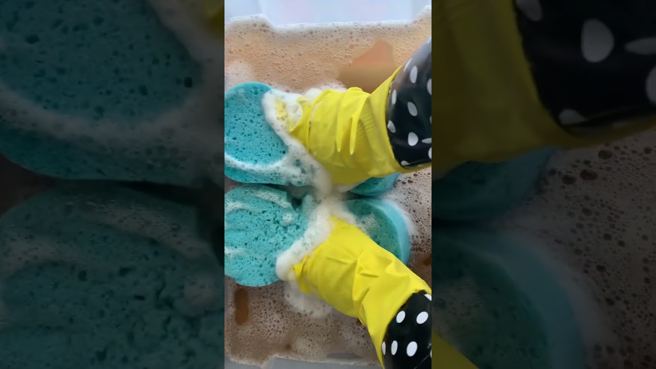 Quick pine squeeze :) #asmr #squeeze #asmrsqueeze #dishdetergent #slime #rinse #asmrsoap #sponges