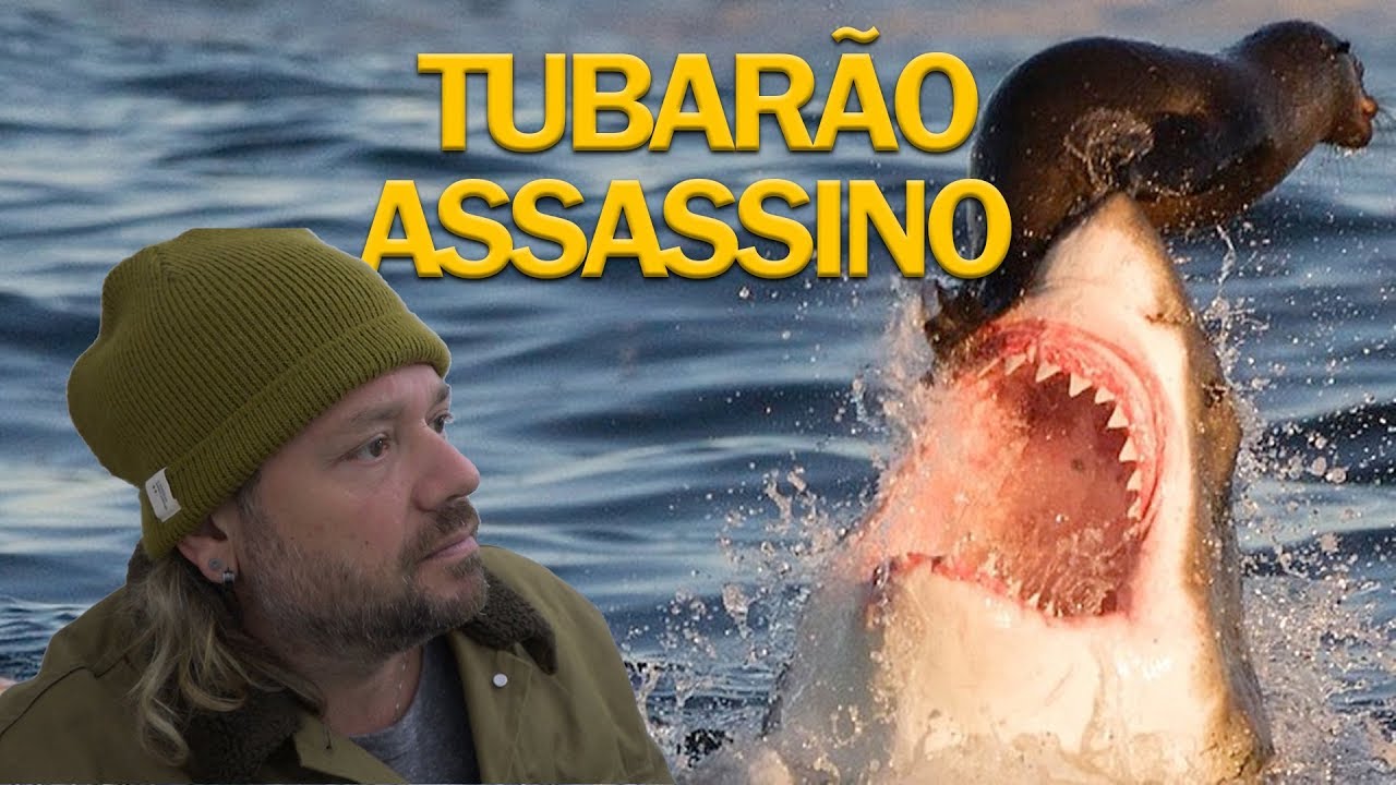 O ATAQUE DO TUBARÃO ASSASSINO, TUBARÃO BRANCO | RICHARD RASMUSSEN