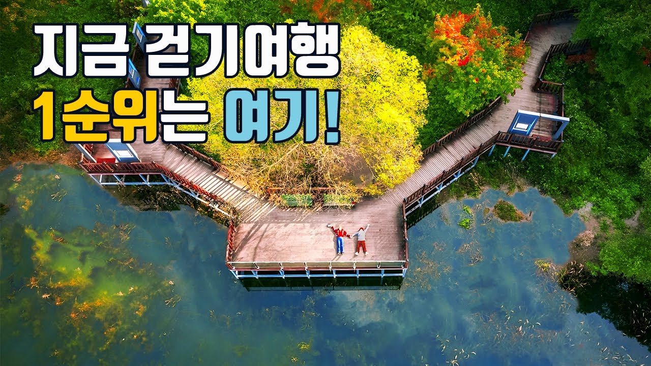 가장 아름다운 산책길 인증👍 트레킹 마니아들 걷자마자 감탄🤗 지금 뜨는 최고의 호수길🌴