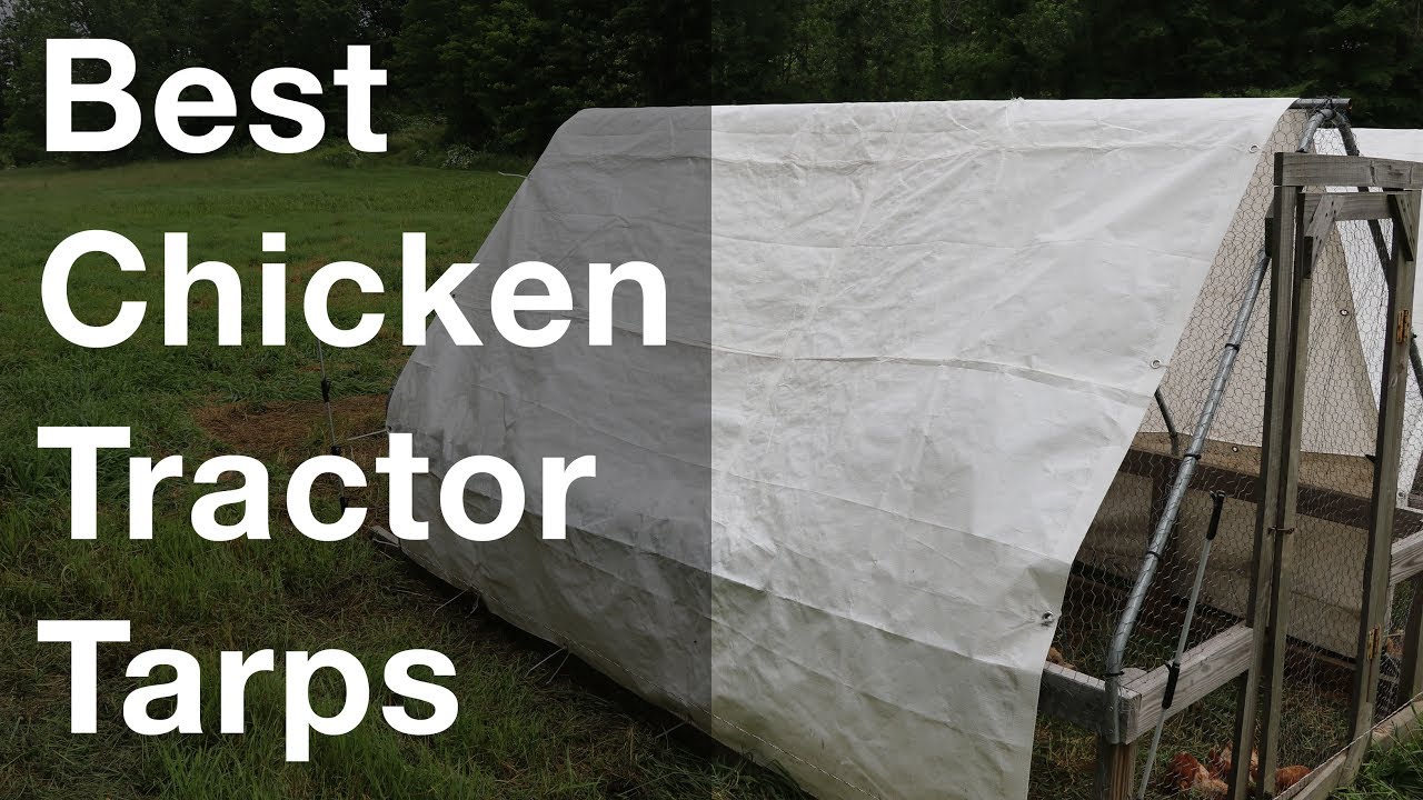 The BEST Chicken Tractor Tarps