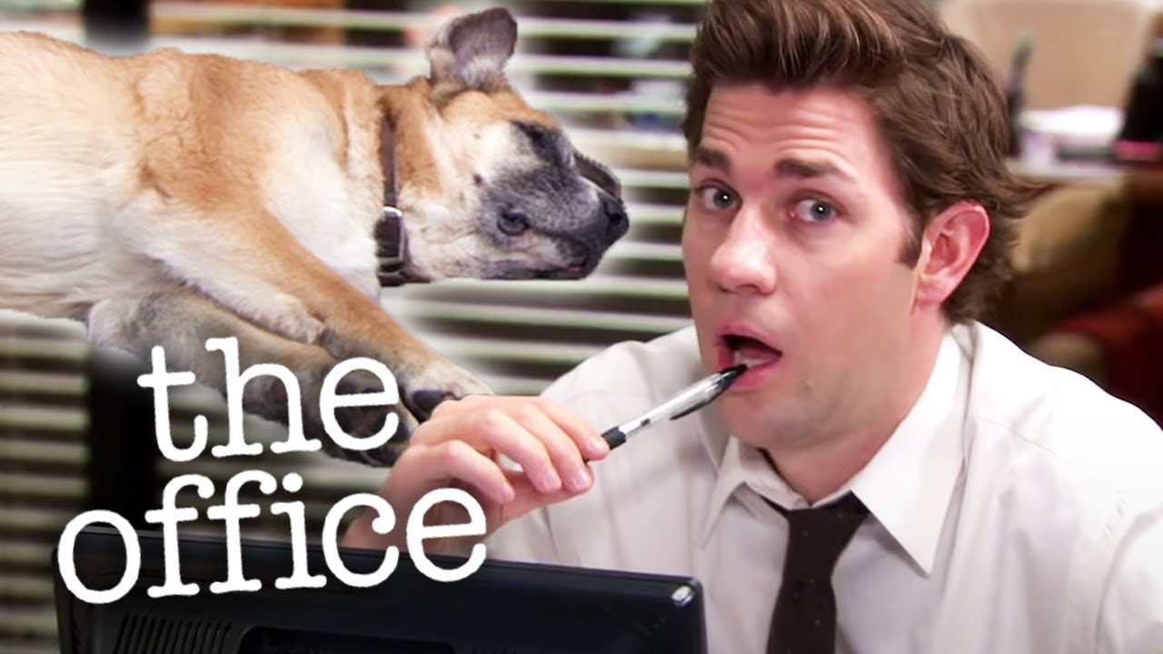 Kevin's Dog Doesn't Do Anything  - The Office US