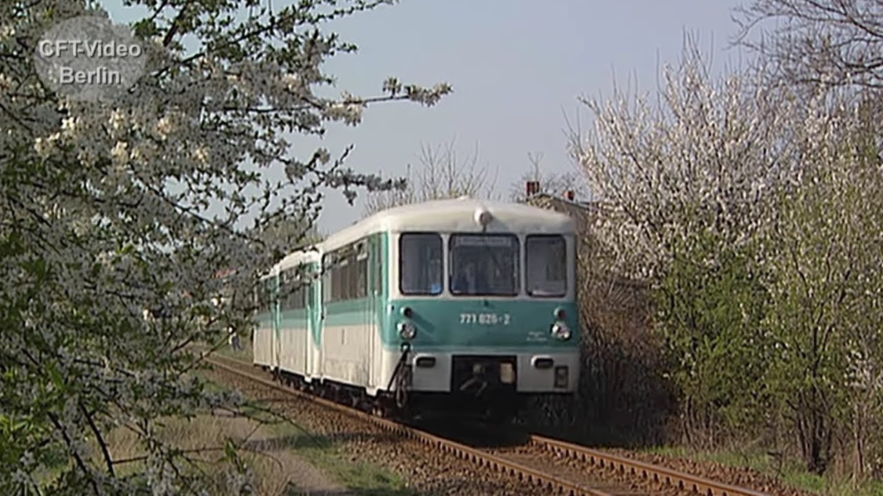 Ferkeltaxen auf Usedom