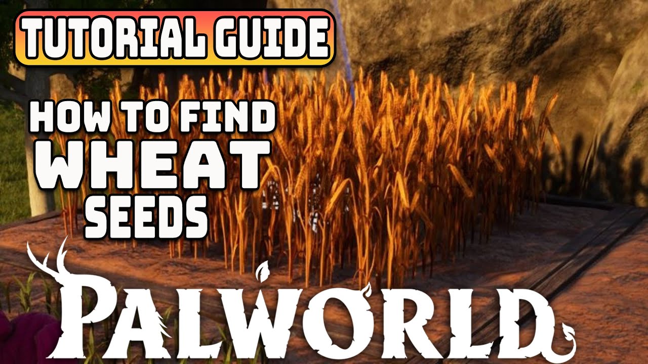 Как найти семена пшеницы в Palworld &mdash; где найти пшеницу