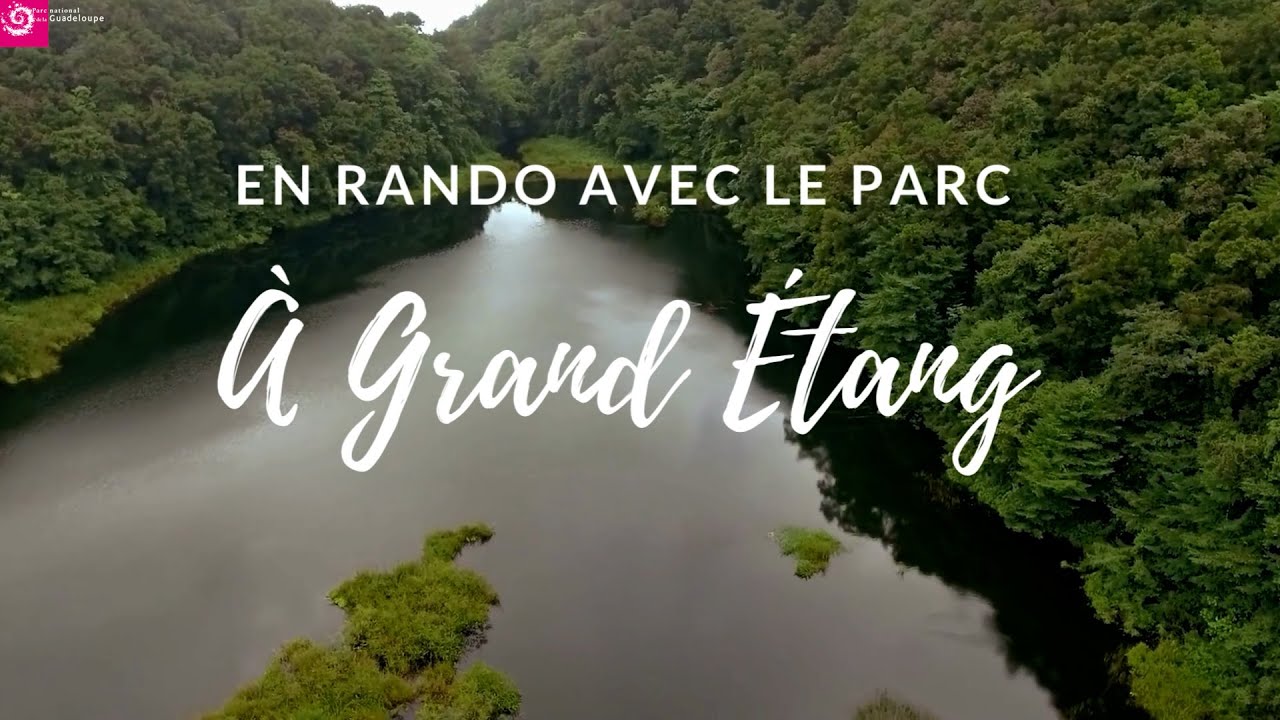 En Rando avec le Parc : Grand Étang à Capesterre-Belle-Eau