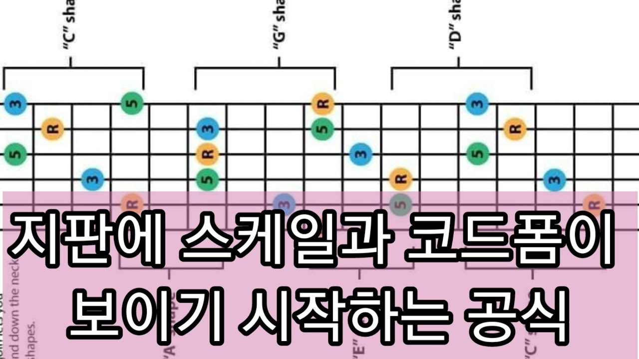이 공식 외우고 지판에서 스케일과 코드가 보이기 시작했습니다