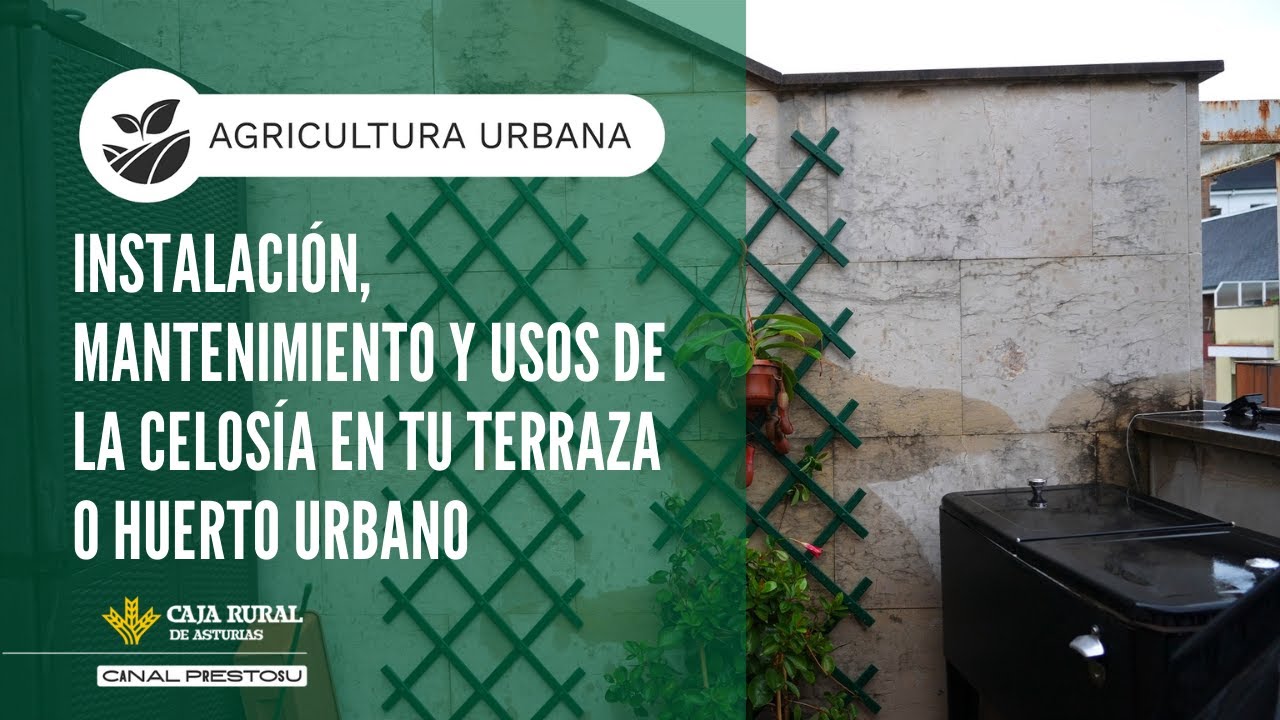 Canal Prestosu | Agricultura urbana: instalación, mantenimiento y usos de la celosía en tu terraza