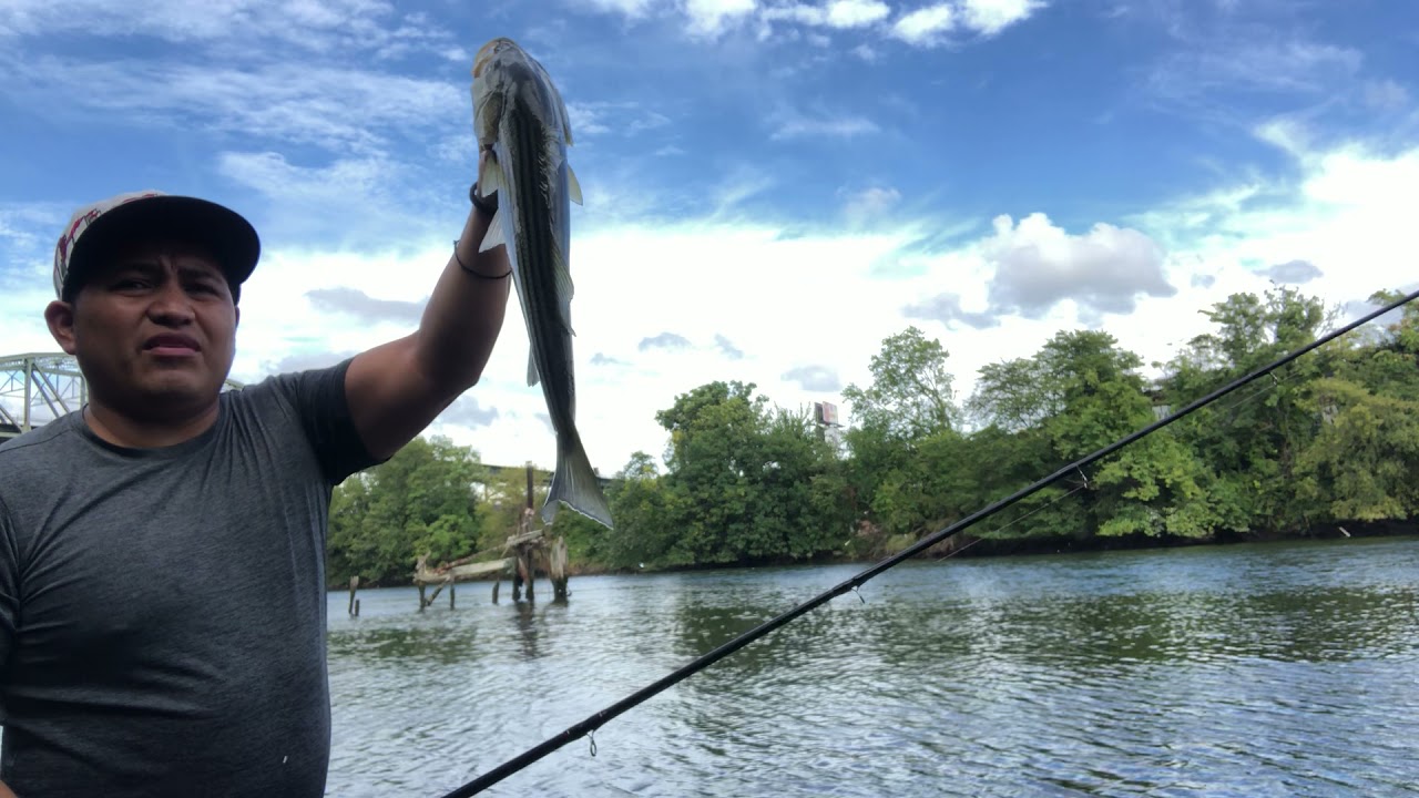 Pesca en el Bronx Nueva York