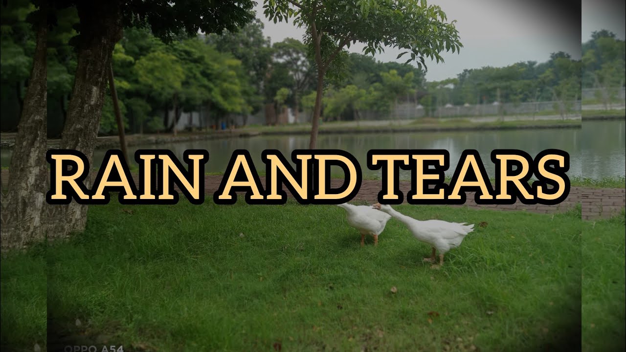 RAIN AND TEARS.( KARAOKE) lyrics. #music