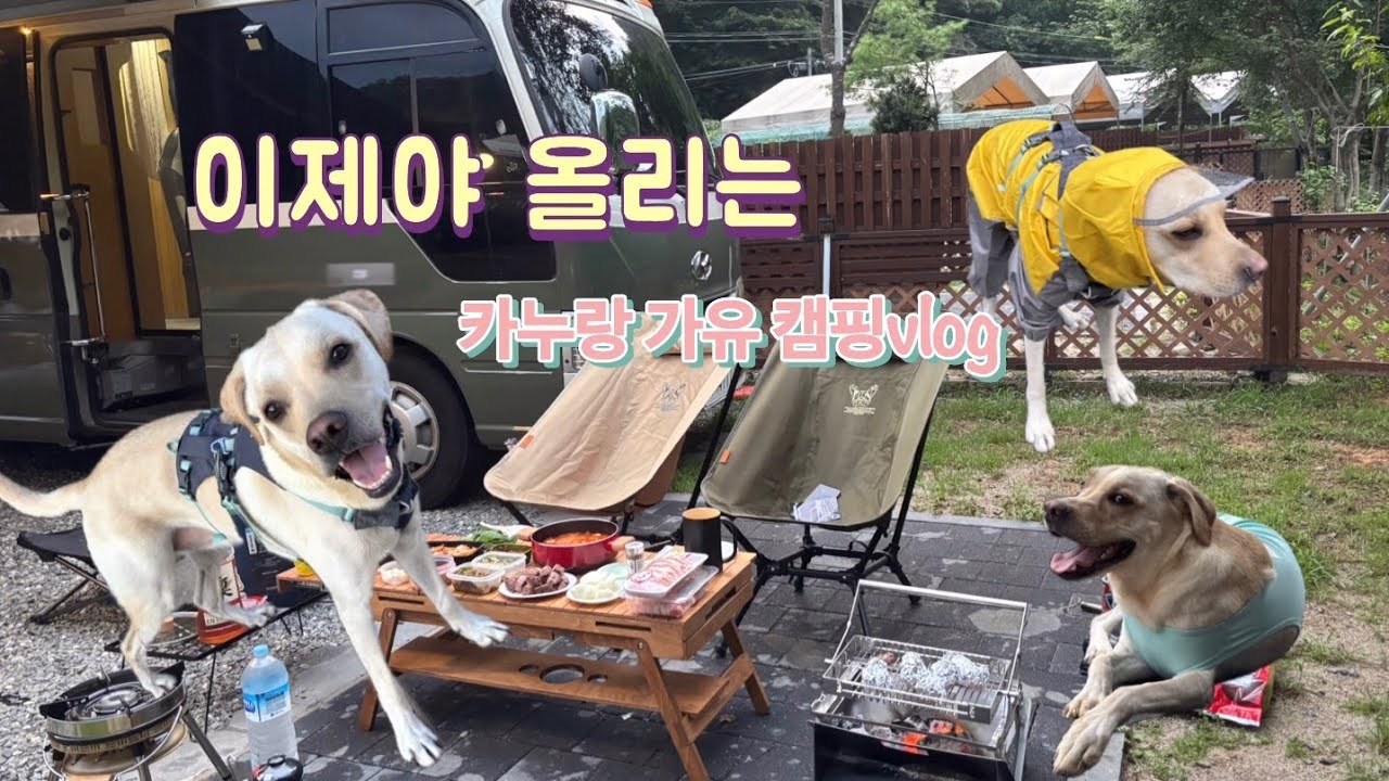 귀찮아서 이제야 올리는 카누 vlog