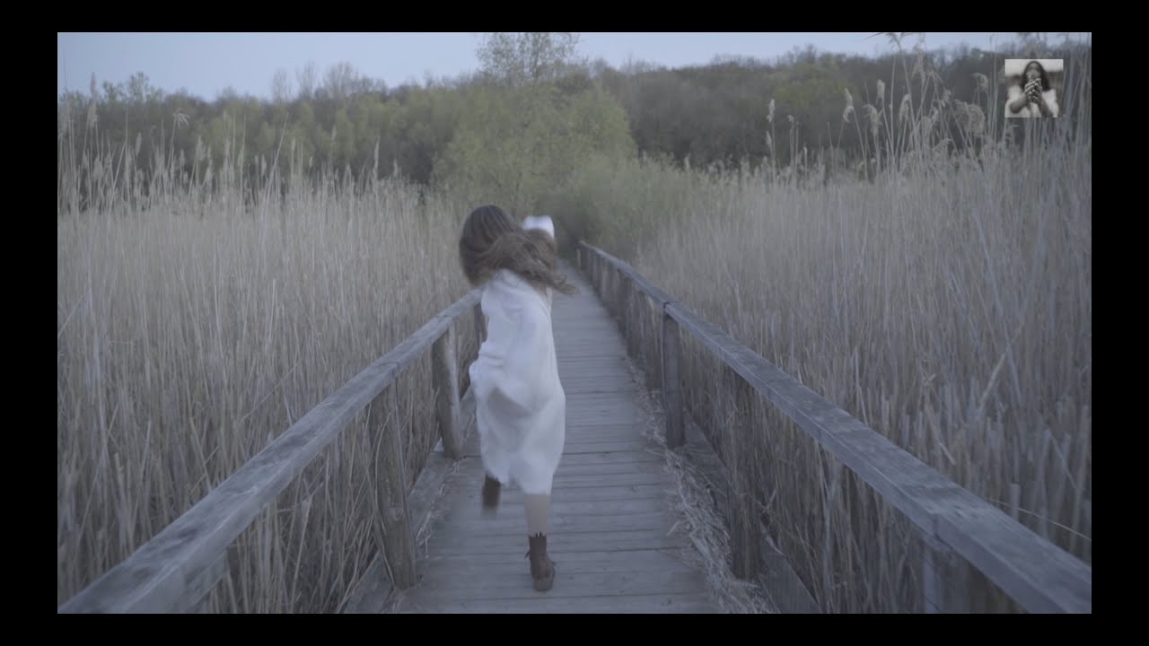 Ligia Hojda - Back to you (Lyrics Video)