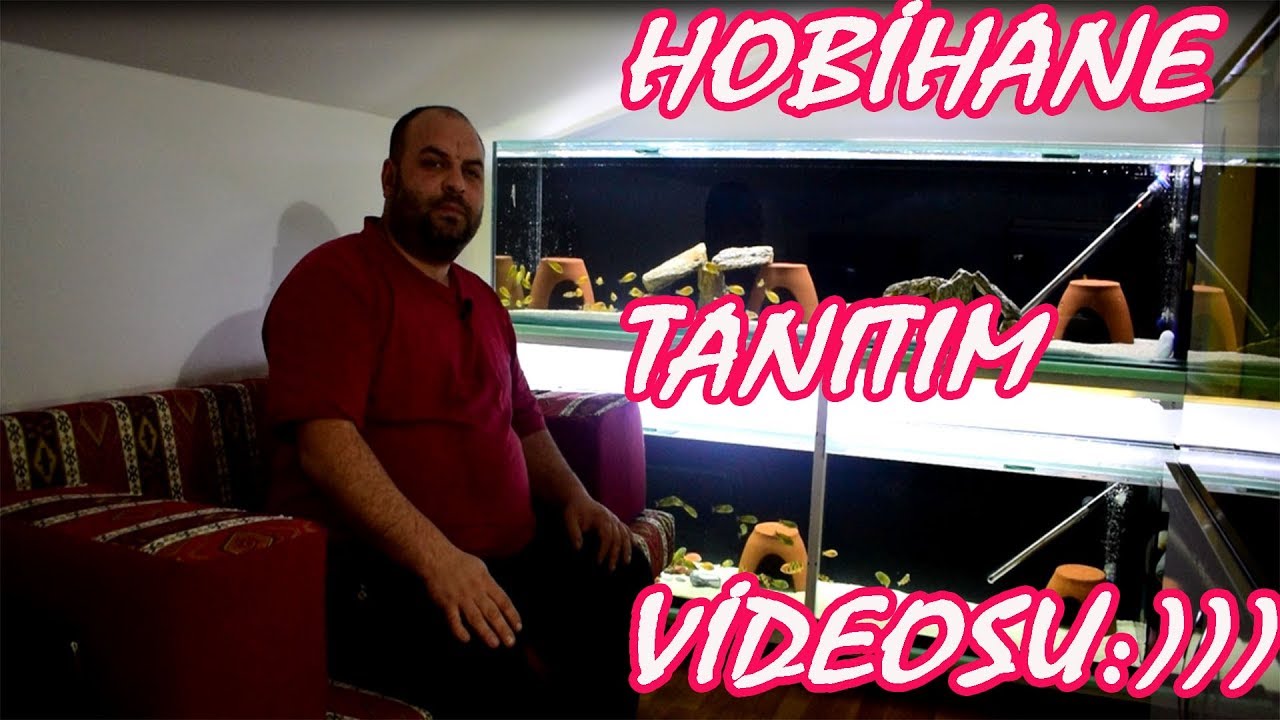 HOBİHANEM,AKVARYUMLARIM VE BALIKLARIM, TANITIM VİDEOSU :))