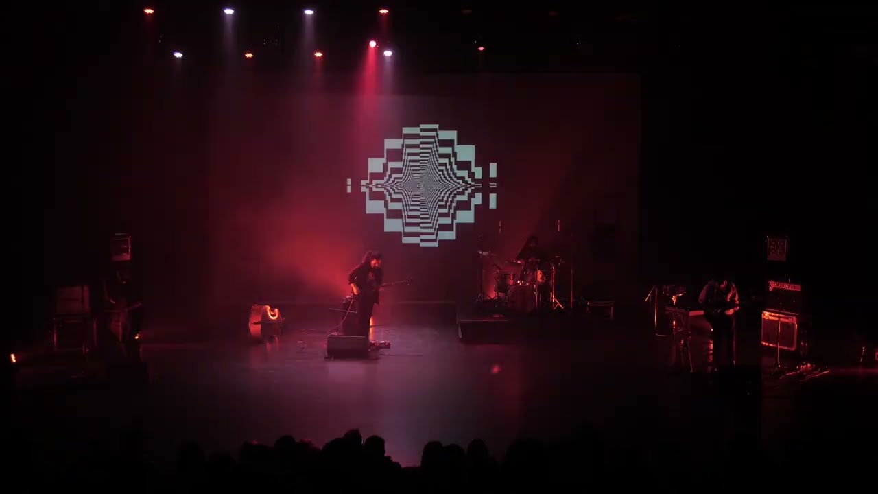 Cola de zorro - El desierto avanza en Valparaíso EN VIVO